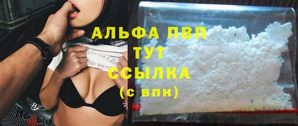 PSILOCYBIN Каменногорск