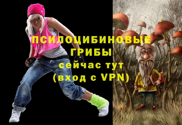 mix Каменка