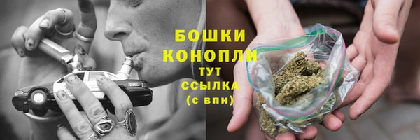 PSILOCYBIN Каменногорск