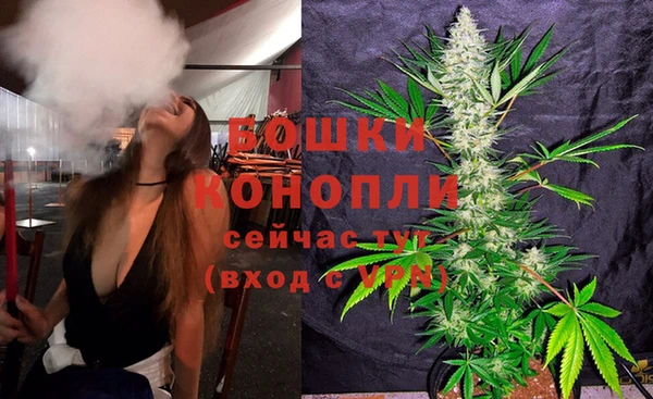 PSILOCYBIN Каменногорск