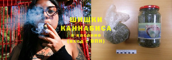 PSILOCYBIN Каменногорск