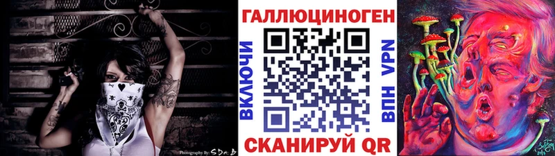 Галлюциногенные грибы GOLDEN TEACHER  Купить закладки  Балтийск 